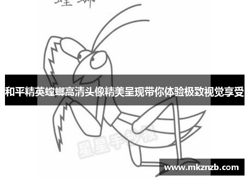 和平精英螳螂高清头像精美呈现带你体验极致视觉享受