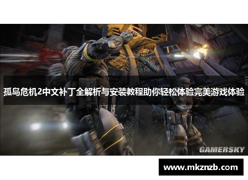 孤岛危机2中文补丁全解析与安装教程助你轻松体验完美游戏体验